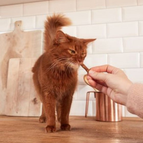 Лакомство за котки GimCat sticks poultry меки месни пръчици със сьомга и риба треска