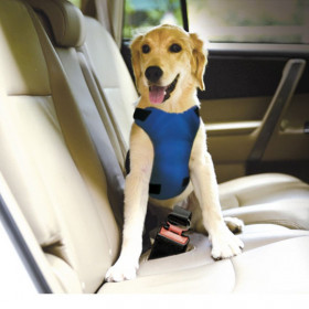 Нагръдник за кола за куче BEST FRIEND Safety harness размер L