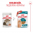 Пауч Royal Canin Ageing +11 - пълноценна храна за котки на 12 години, малки късчета месо в сос Грейви