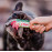 Кремообразно лакомство за капризни кучета Churu Dog Treats Chicken with Tuna Recipe мус от пилешко месо и риба тон