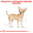 Пауч Royal Canin Chihuahua Adult 85 гр. - специално създадена за Чихуахуа над 8 месеца