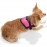 Кучешки нагръдник  Karlie Harness Teeny Weeny  със светлоотразителни елемнти в розов цвят